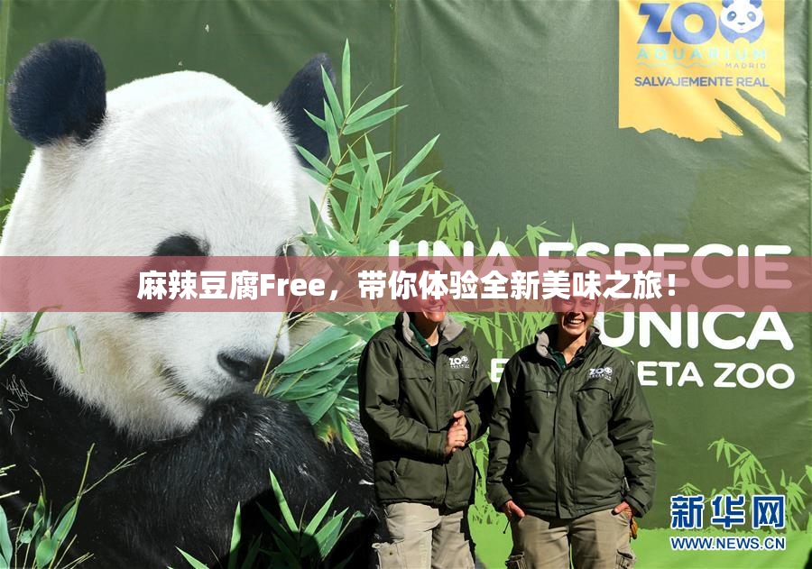 麻辣豆腐Free，带你体验全新美味之旅！
