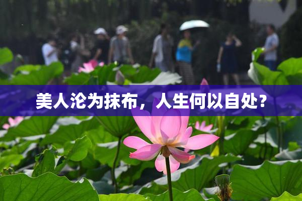 美人沦为抹布，人生何以自处？
