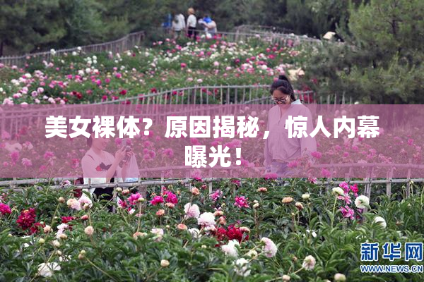 美女裸体？原因揭秘，惊人内幕曝光！