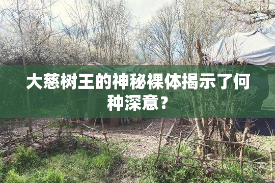 大慈树王的神秘裸体揭示了何种深意？