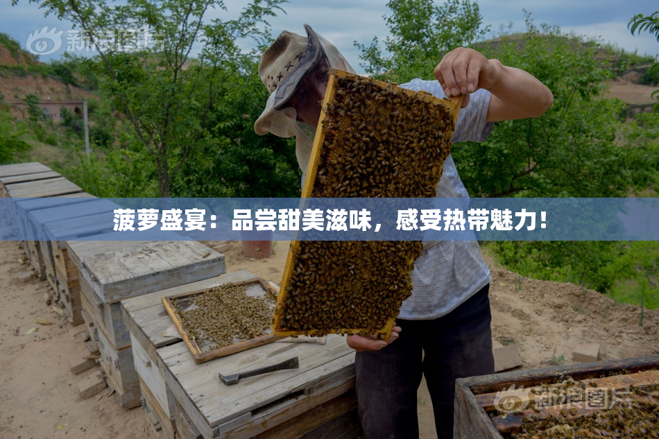 菠萝盛宴：品尝甜美滋味，感受热带魅力！