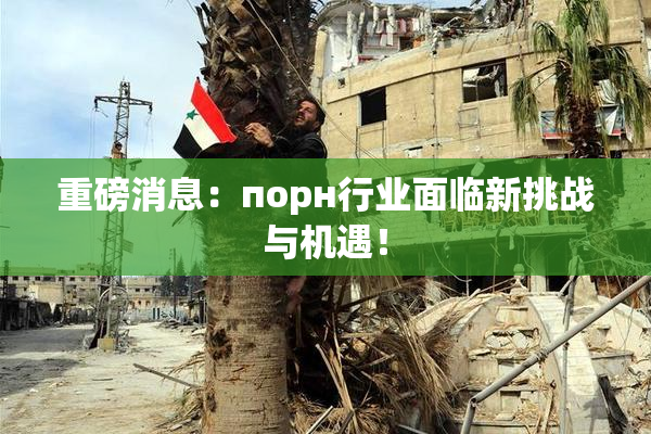 重磅消息：порн行业面临新挑战与机遇！