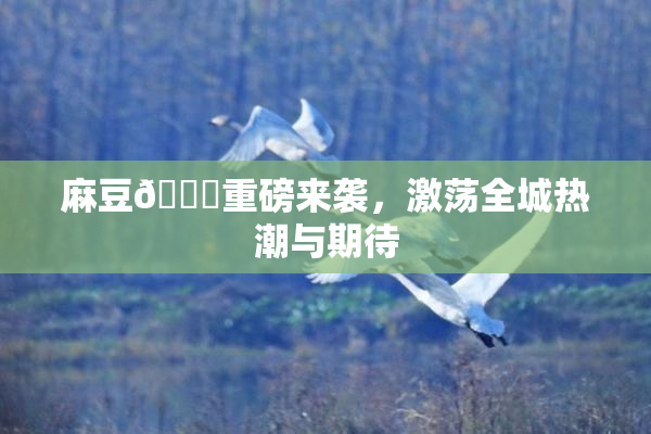 麻豆🔞重磅来袭，激荡全城热潮与期待