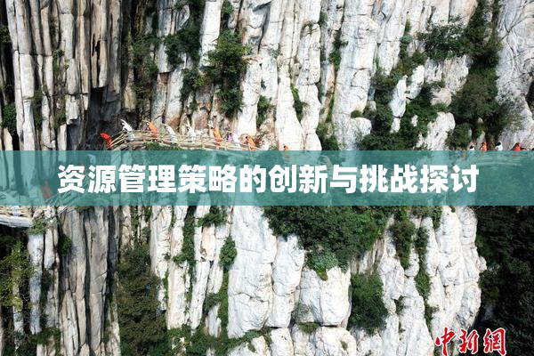 资源管理策略的创新与挑战探讨