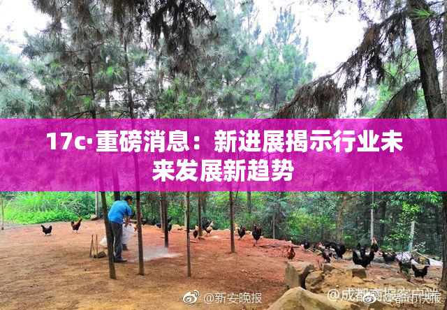 17c·重磅消息：新进展揭示行业未来发展新趋势