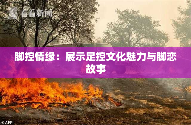 脚控情缘：展示足控文化魅力与脚恋故事