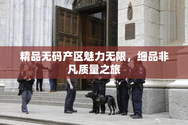 精品无码产区魅力无限，细品非凡质量之旅
