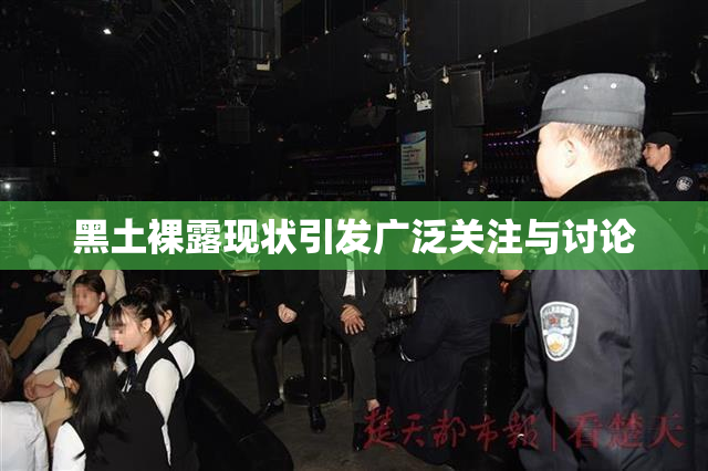 黑土裸露现状引发广泛关注与讨论
