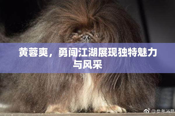 黄蓉爽，勇闯江湖展现独特魅力与风采