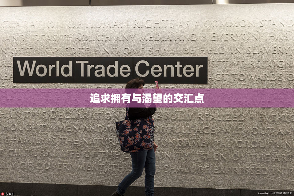 追求拥有与渴望的交汇点