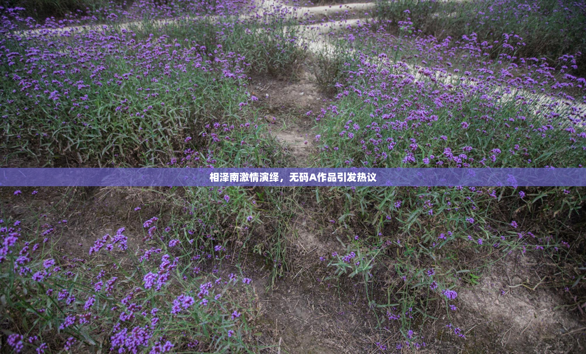 相泽南激情演绎，无码A作品引发热议