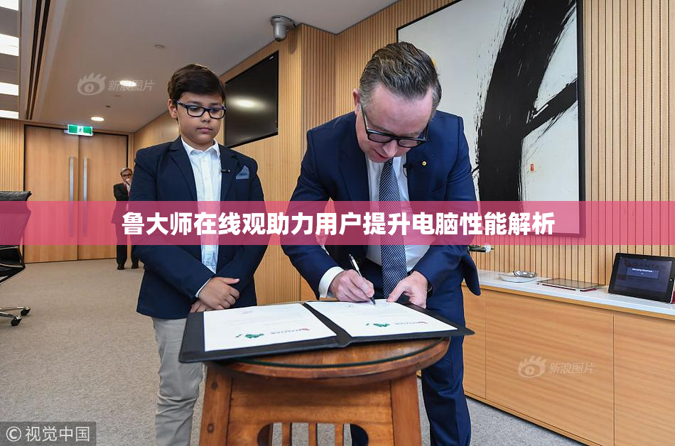 鲁大师在线观助力用户提升电脑性能解析