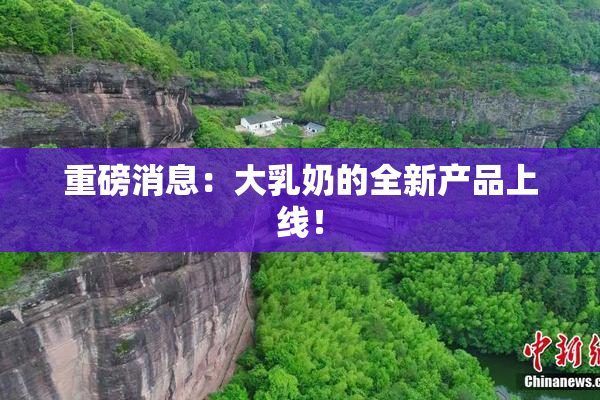 重磅消息：大乳奶的全新产品上线！
