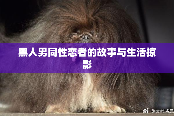 黑人男同性恋者的故事与生活掠影