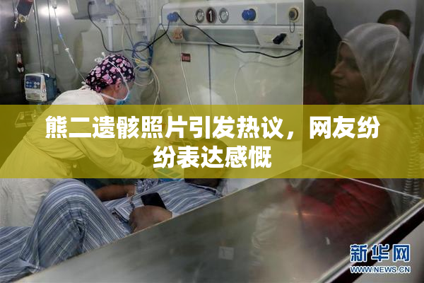熊二遗骸照片引发热议，网友纷纷表达感慨