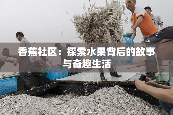 香蕉社区：探索水果背后的故事与奇趣生活