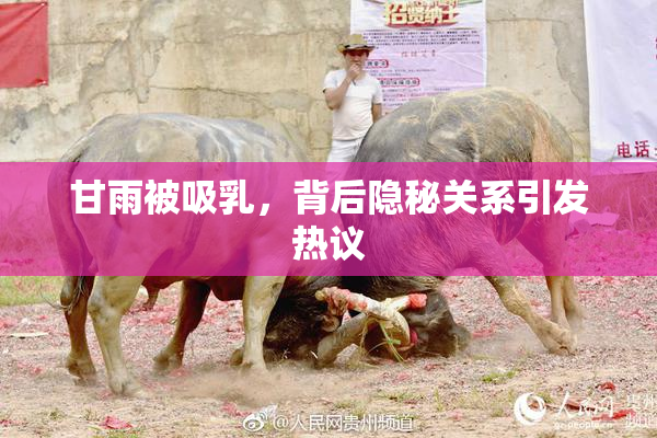 甘雨被吸乳，背后隐秘关系引发热议