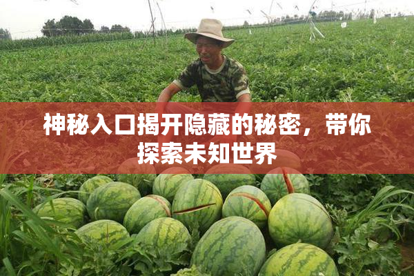神秘入口揭开隐藏的秘密，带你探索未知世界