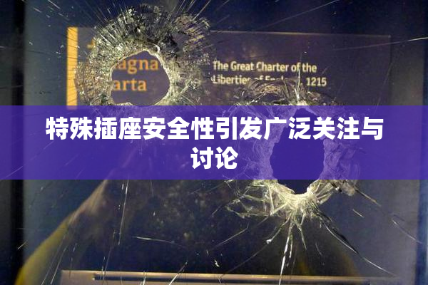 特殊插座安全性引发广泛关注与讨论