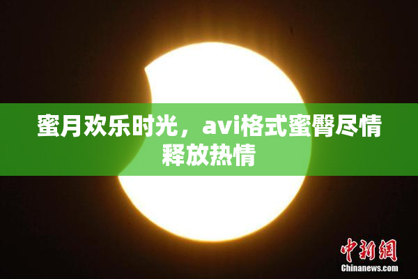 蜜月欢乐时光，avi格式蜜臀尽情释放热情