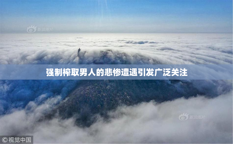 强制榨取男人的悲惨遭遇引发广泛关注