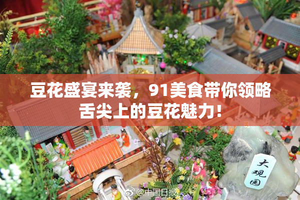 豆花盛宴来袭，91美食带你领略舌尖上的豆花魅力！