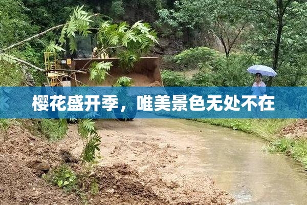 樱花盛开季，唯美景色无处不在