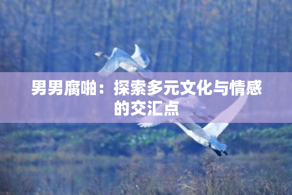 男男腐啪：探索多元文化与情感的交汇点