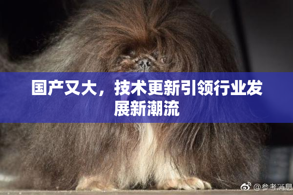 国产又大，技术更新引领行业发展新潮流