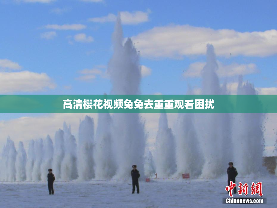高清樱花视频免免去重重观看困扰