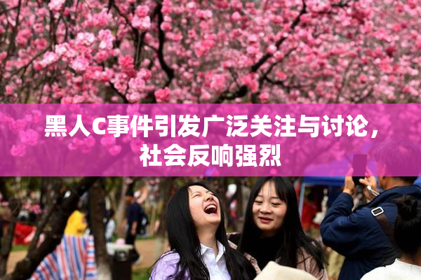 黑人C事件引发广泛关注与讨论，社会反响强烈