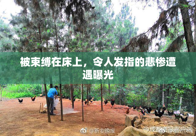 被束缚在床上，令人发指的悲惨遭遇曝光