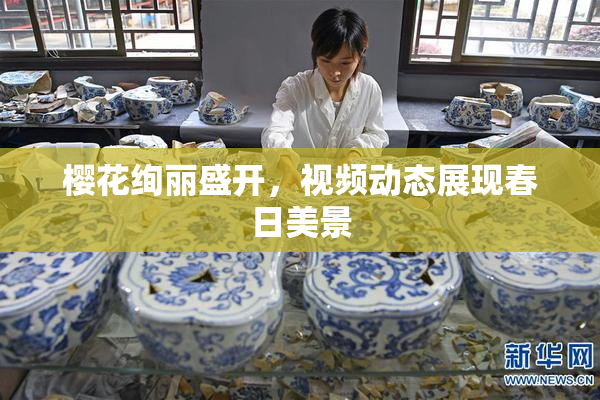 樱花绚丽盛开，视频动态展现春日美景