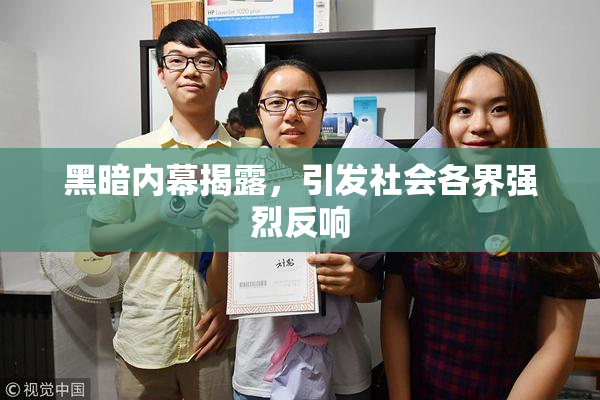 黑暗内幕揭露，引发社会各界强烈反响