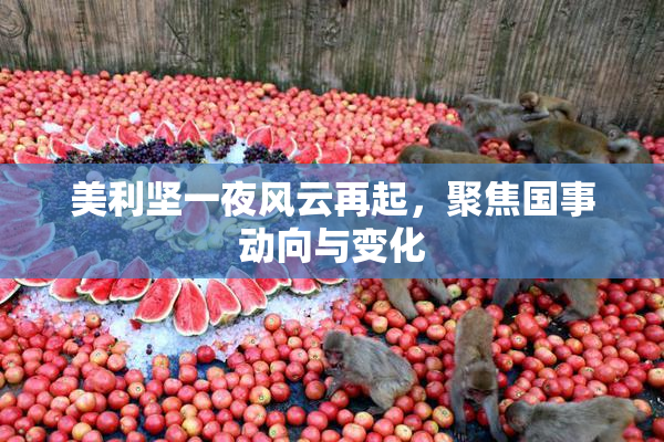 美利坚一夜风云再起，聚焦国事动向与变化