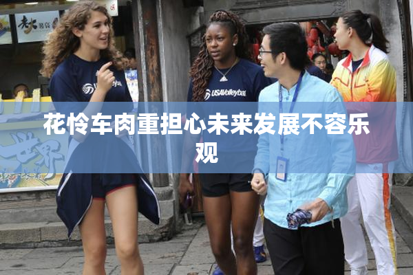 花怜车肉重担心未来发展不容乐观