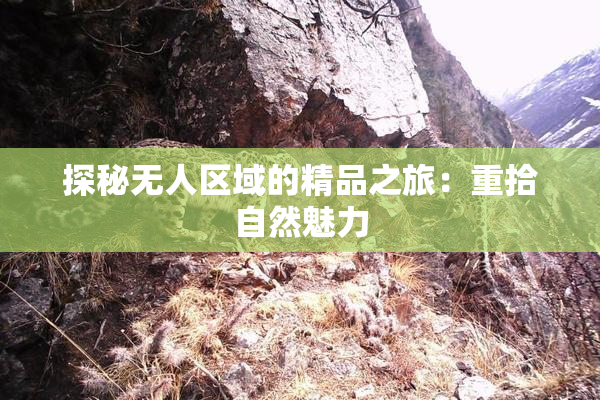 探秘无人区域的精品之旅：重拾自然魅力