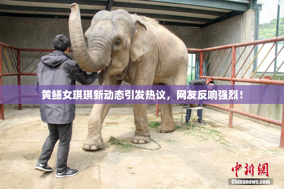 黄鳝女琪琪新动态引发热议，网友反响强烈！