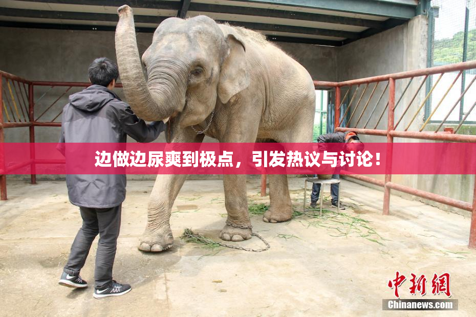 边做边尿爽到极点，引发热议与讨论！