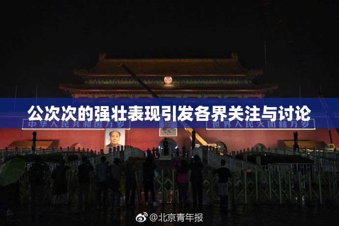 公次次的强壮表现引发各界关注与讨论