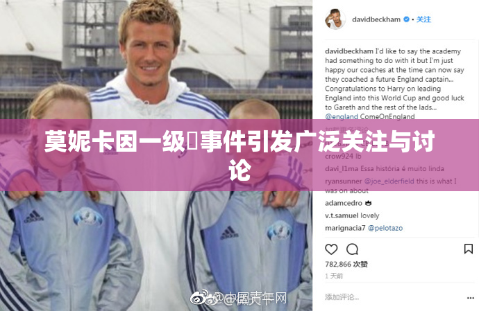 莫妮卡因一级婬事件引发广泛关注与讨论