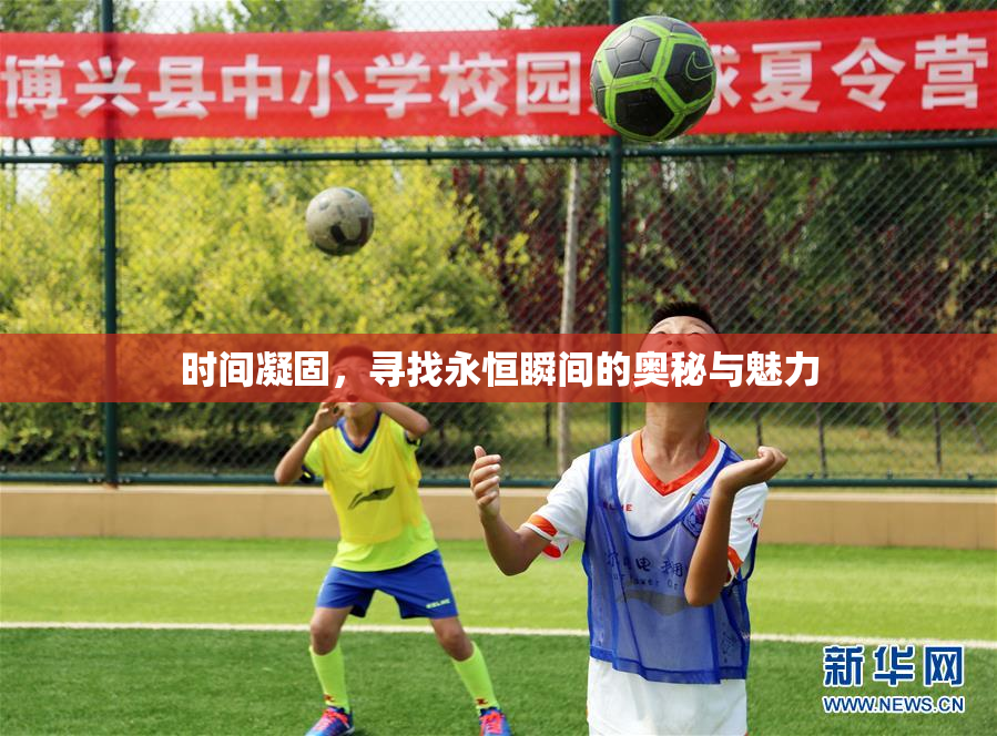 时间凝固，寻找永恒瞬间的奥秘与魅力