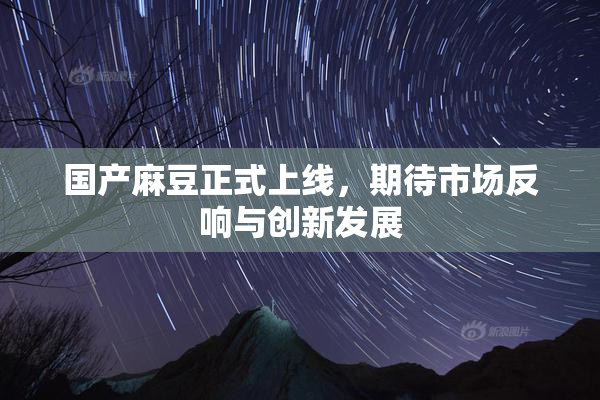 国产麻豆正式上线，期待市场反响与创新发展