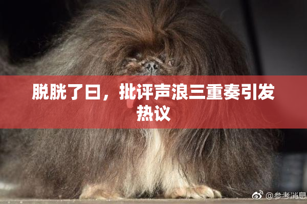 脱胱了曰，批评声浪三重奏引发热议