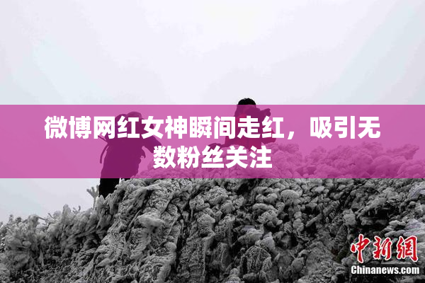 微博网红女神瞬间走红，吸引无数粉丝关注