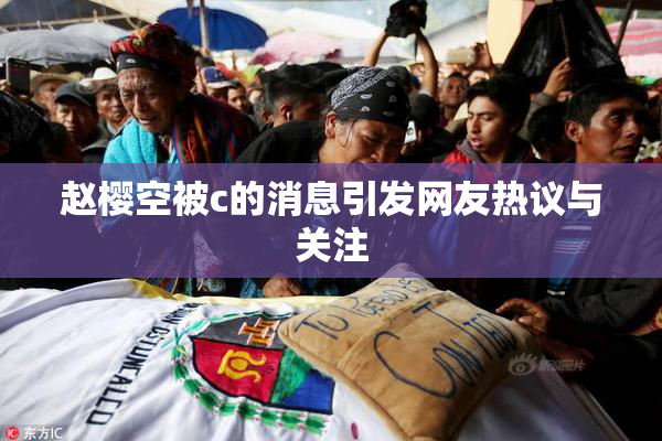 赵樱空被c的消息引发网友热议与关注