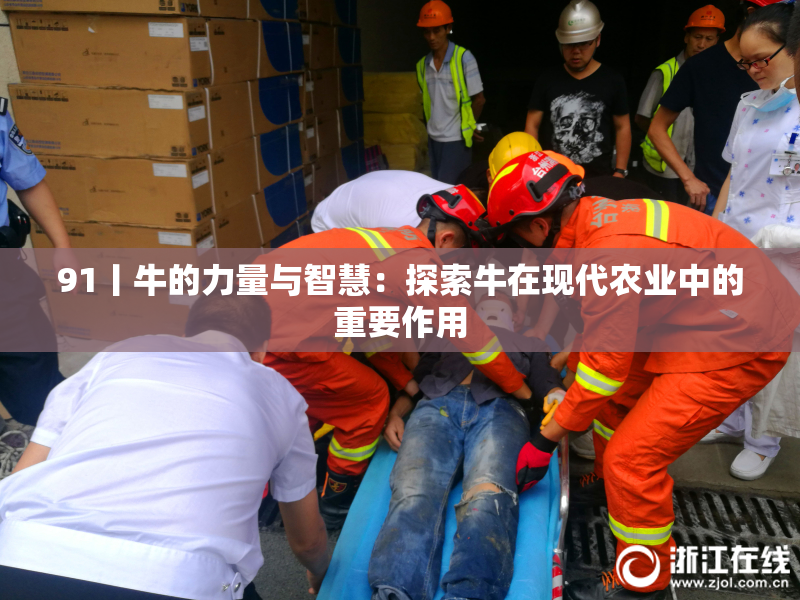 91丨牛的力量与智慧：探索牛在现代农业中的重要作用