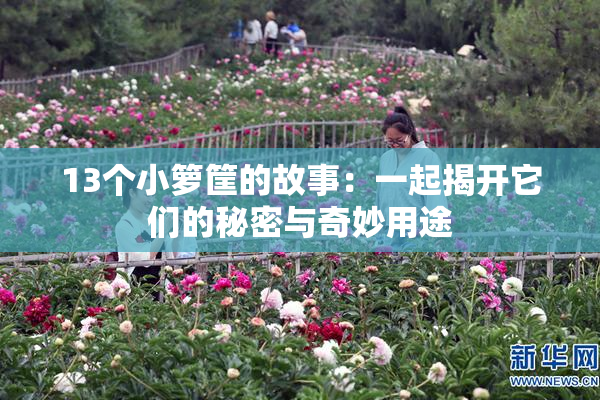 13个小箩筐的故事：一起揭开它们的秘密与奇妙用途