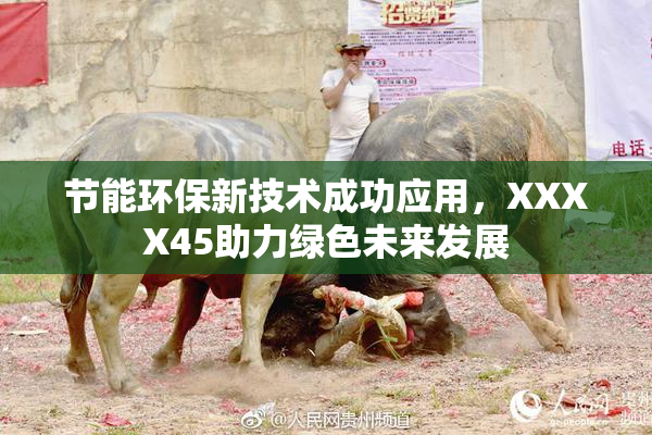 节能环保新技术成功应用，XXXX45助力绿色未来发展