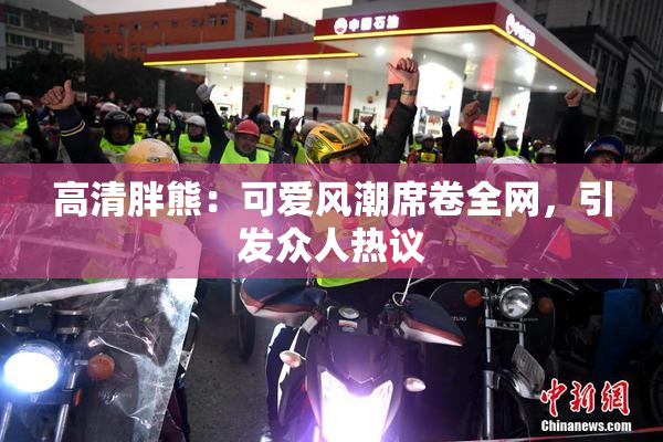 高清胖熊：可爱风潮席卷全网，引发众人热议